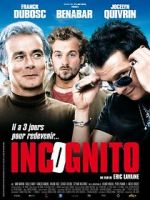 Watch Incognito Nowvideo