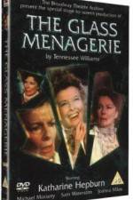 Watch The Glass Menagerie Nowvideo