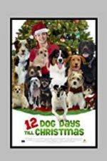 Watch 12 Dog Days Till Christmas Nowvideo