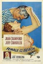 Watch Female on the Beach Nowvideo