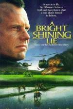 Watch A Bright Shining Lie Nowvideo