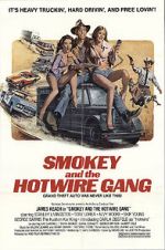 Watch Smokey and the Hotwire Gang Nowvideo