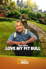 Watch Cesar Millan: Love My Pit Bull Nowvideo