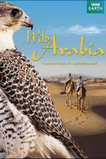 Watch Wild Arabia Nowvideo