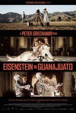 Watch Eisenstein in Guanajuato Nowvideo
