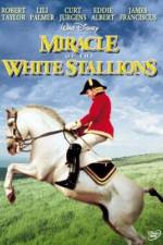 Watch Miracle of the White Stallions Nowvideo