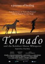 Watch Tornado and the Kalahari Horse Whisperer Nowvideo