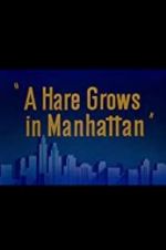 Watch A Hare Grows in Manhattan Nowvideo