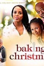 Watch Baking Christmas Nowvideo