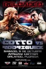 Watch Miguel Cotto vs Delvin Rodriguez Nowvideo