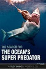 Watch The Search for the Oceans Super Predator Nowvideo