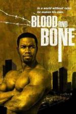 Watch Blood and Bone Nowvideo