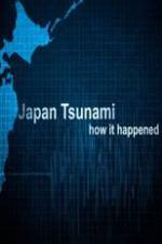 Watch Japan Tsunami: How It Happened Nowvideo