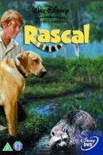 Watch Rascal Nowvideo