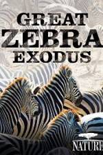 Watch Nature: Great Zebra Exodus Nowvideo