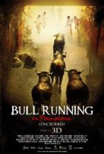 Watch Encierro 3D: Bull Running in Pamplona Nowvideo