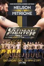 Watch The Ultimate Fighter 16 Finale Nelson vs Mitrione Nowvideo