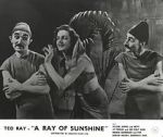 Watch A Ray of Sunshine: An Irresponsible Medley of Song and Dance Nowvideo