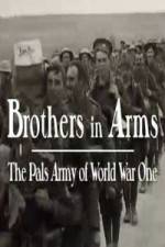 Watch Brothers in Arms: The Pals Army of World War One Nowvideo