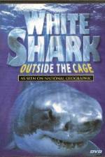 Watch National Geographic white shark:outside the cage Nowvideo