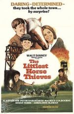 Watch The Littlest Horse Thieves Nowvideo