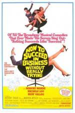 Watch How to Succeed in Business Without Really Trying Nowvideo