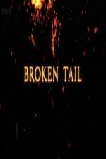 Watch A Tiger Called Broken Tail Nowvideo