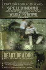 Watch Heart of a Dog Nowvideo