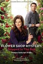 Watch Flower Shop Mystery: Snipped in the Bud Nowvideo
