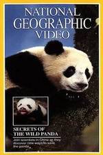 Watch Secrets of the Wild Panda Nowvideo