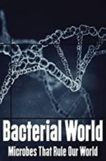 Watch Bacterial World Nowvideo