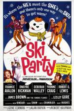 Watch Ski Party Nowvideo