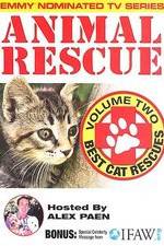 Watch Animal Rescue, Volume 2: Best Cat Rescues Nowvideo