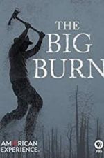 Watch American Experience: The Big Burn Nowvideo