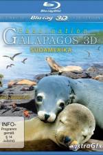 Watch Faszination Galapagos Nowvideo