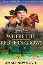 Watch Where the Red Fern Grows Nowvideo