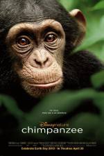 Watch Chimpanzee Nowvideo