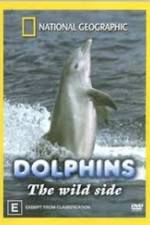 Watch Dolphins: The Wild Side Nowvideo