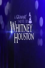 Watch We Will Always Love You A Grammy Salute to Whitney Houston Nowvideo