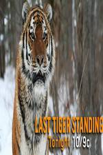Watch Discovery Channel-Last Tiger Standing Nowvideo