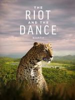 Watch The Riot and the Dance Nowvideo