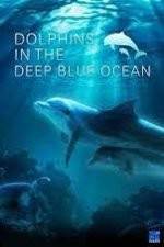 Watch Dolphins in the Deep Blue Ocean Nowvideo