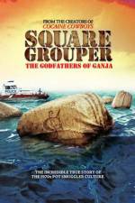 Watch Square Grouper Nowvideo