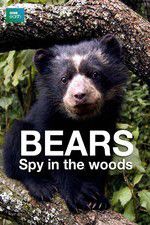 Watch Bears: Spy in the Woods Nowvideo