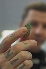Watch Professor Green: Is It Time to Legalise Weed? Nowvideo