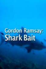 Watch Gordon Ramsay: Shark Bait Nowvideo
