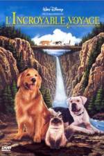 Watch Homeward Bound: The Incredible Journey Nowvideo