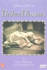 Watch Broken Blossoms or The Yellow Man and the Girl Nowvideo