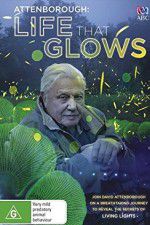 Watch Attenborough\'s Life That Glows Nowvideo