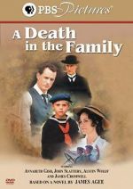 Watch A Death in the Family Nowvideo
